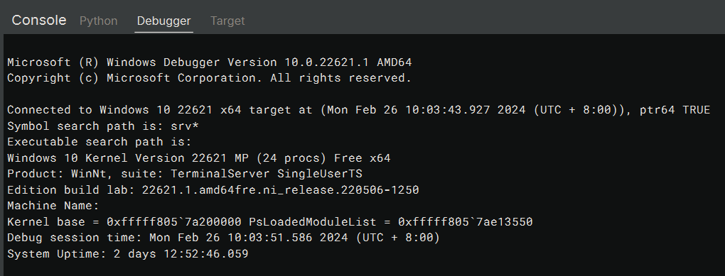 Windows kernel debugging