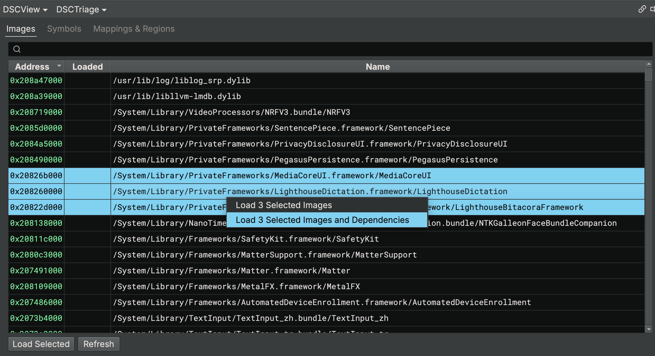 Dyld Shared Cache Triage Images