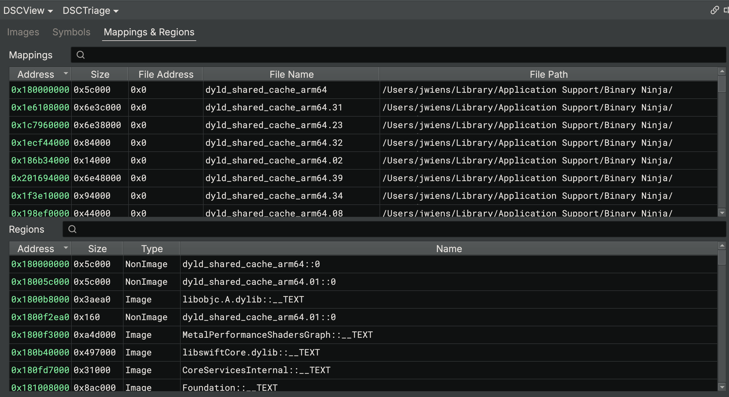 Dyld Shared Cache Mappings and Regions
